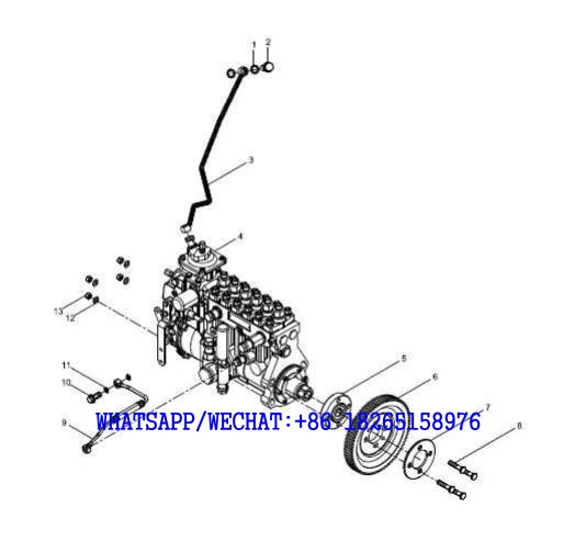 38 WEICHAI WP6G125E202 DHB06G0200 DIESEL ENGINE Fuel injection pump group A101-4110001948