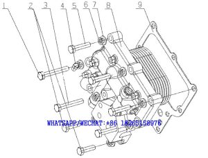 15. A93S0-1013000/01 机油冷却器总成 Oil Cooler Assembly