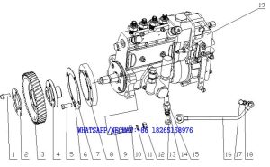 19. A8Q00-1111000/01 喷油泵总成 Fuel Injection Pump Assembly