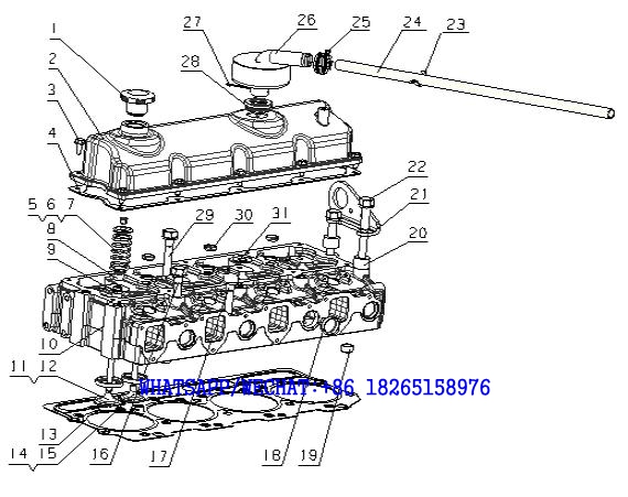 3. A9L00-1003000/01 气缸盖及气缸盖罩总成 Cylinder Head& Cylinder Head Cover Assembly