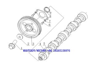 6. A8600-1006000/03 凸轮轴总成 Camshaft Assembly